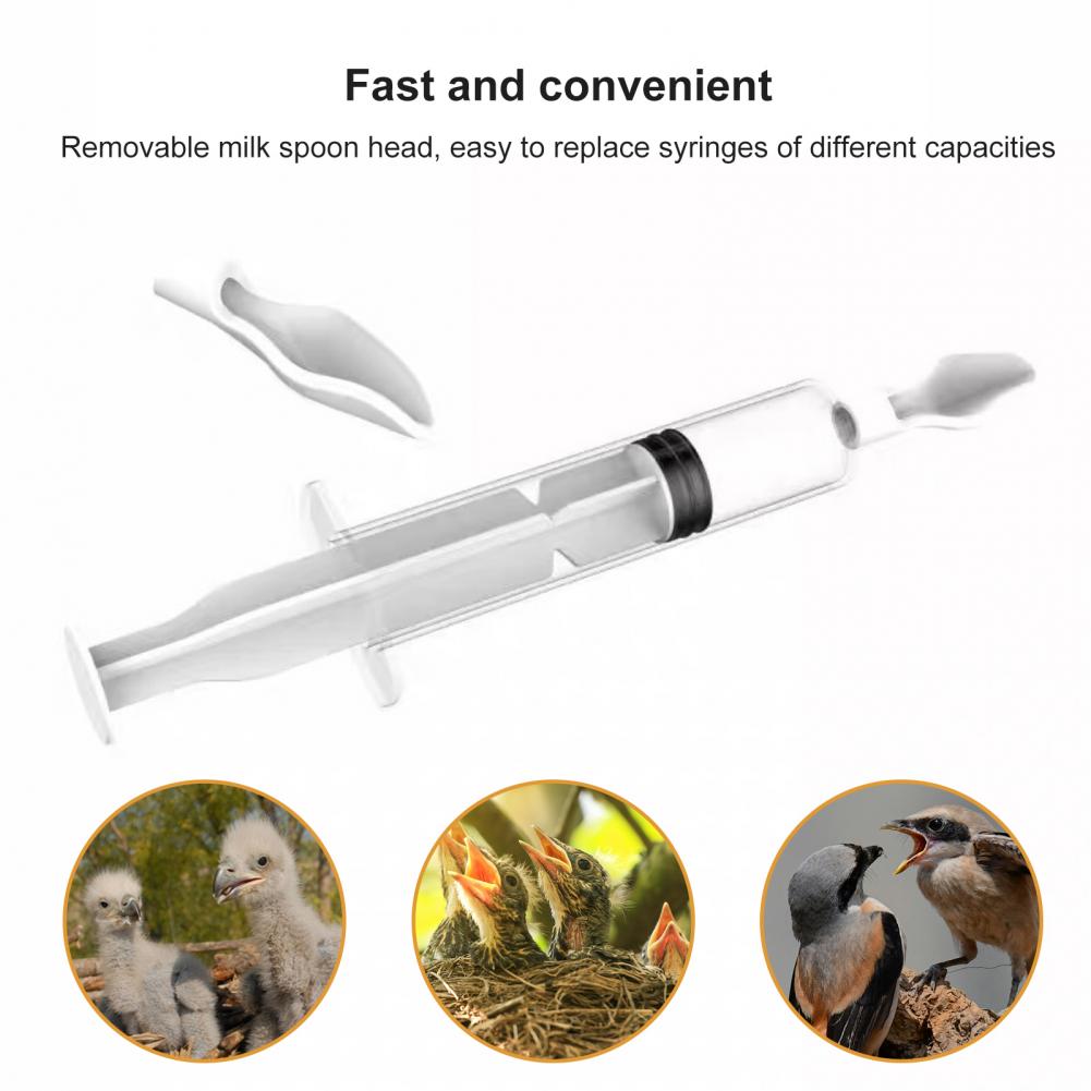Food Feeding Needle 1 Set Bird - Baby Food Youtube incelemesi ve fiyatı