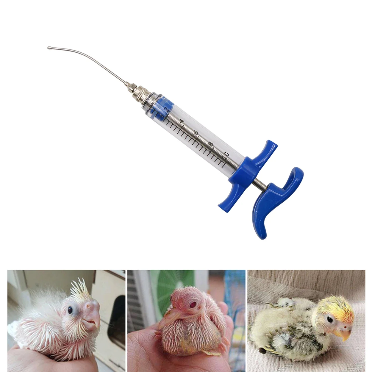 Parrot Feeding Tubes Birds Fee - Baby Food Youtube incelemesi ve fiyatı