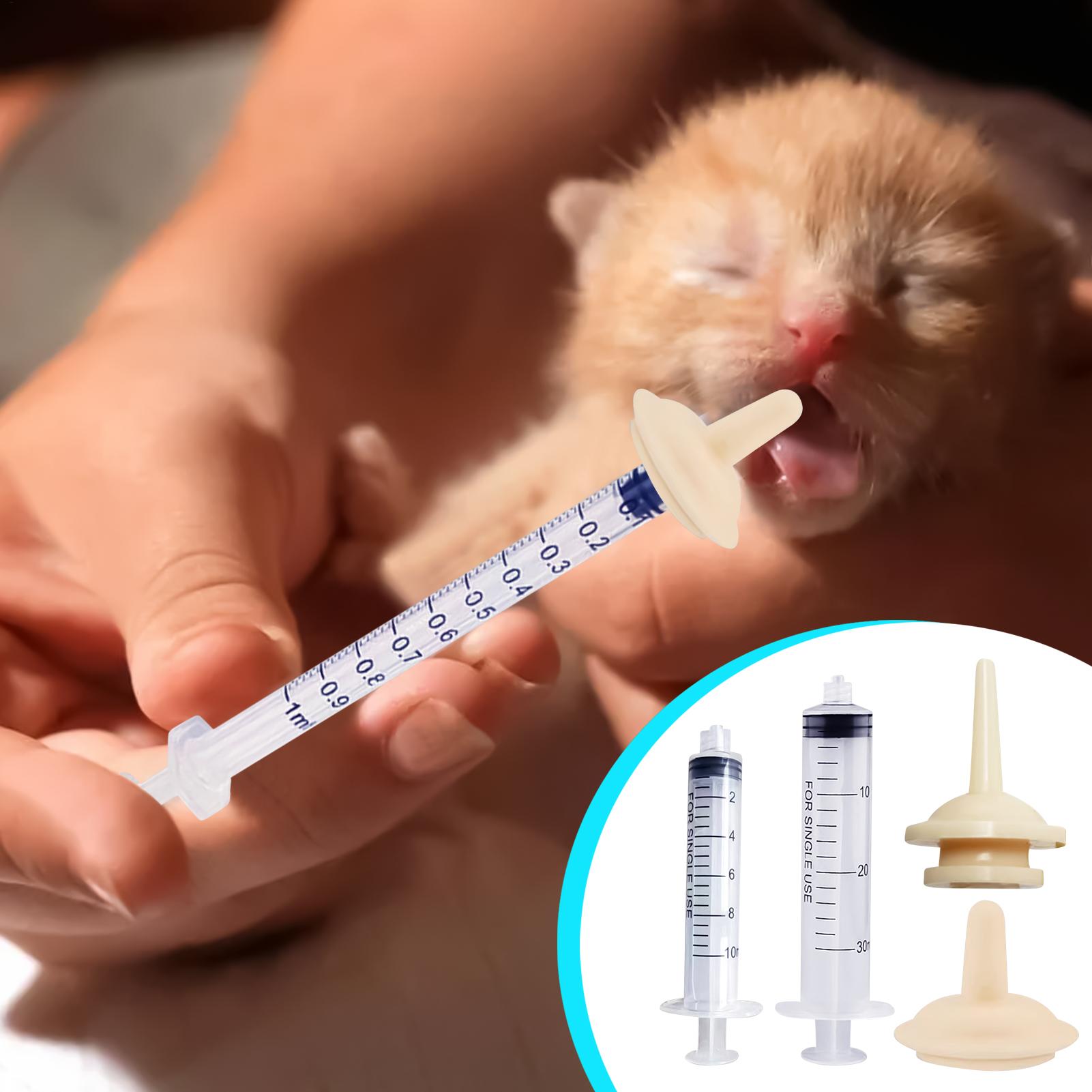Baby Bird Feeding Syringe Reus - Baby Food Youtube incelemesi ve fiyatı