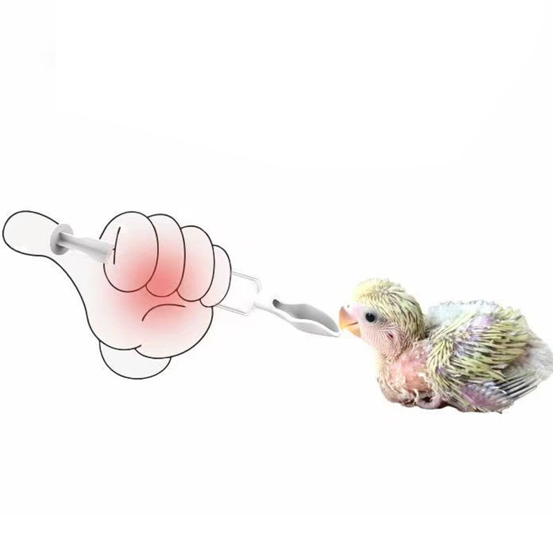 Food Feeding Needle 1 Set Bird - Baby Food Youtube incelemesi ve fiyatı